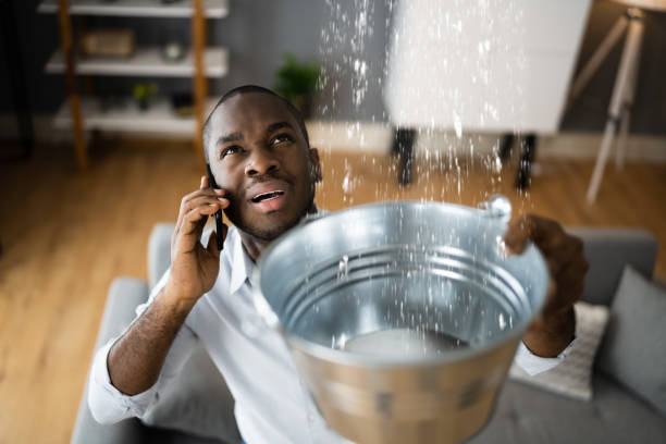 Best Ceiling water damage repair  in Cleveland, NC