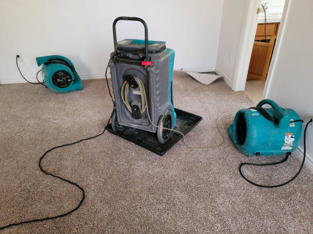 Best Water damage restoration experts  in Cleveland, NC