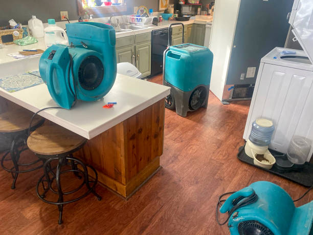 Best Professional water damage repair  in Cleveland, NC