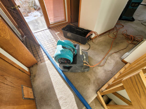 Best Water damage cleanup near me  in Cleveland, NC
