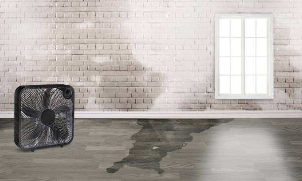 Best Residential water damage restoration  in Cleveland, NC