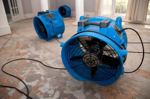 Best 24/7 water damage repair  in Cleveland, NC
