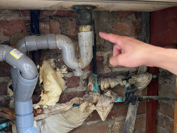 Best Water damage contractors near me  in Cleveland, NC