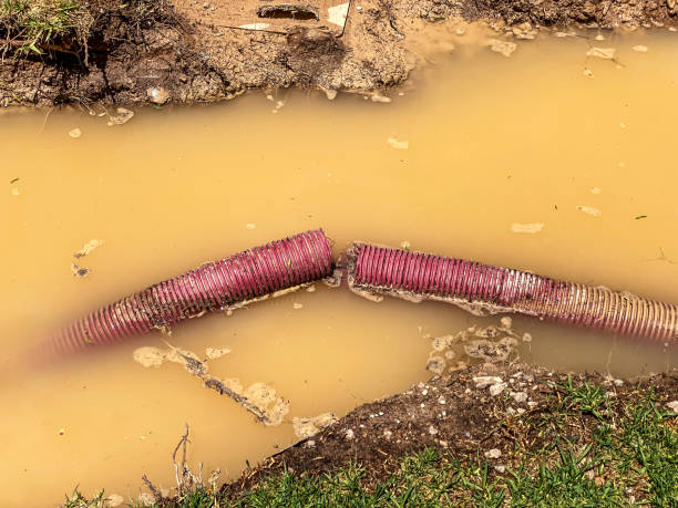  Cleveland, NC Water damage restoration Pros